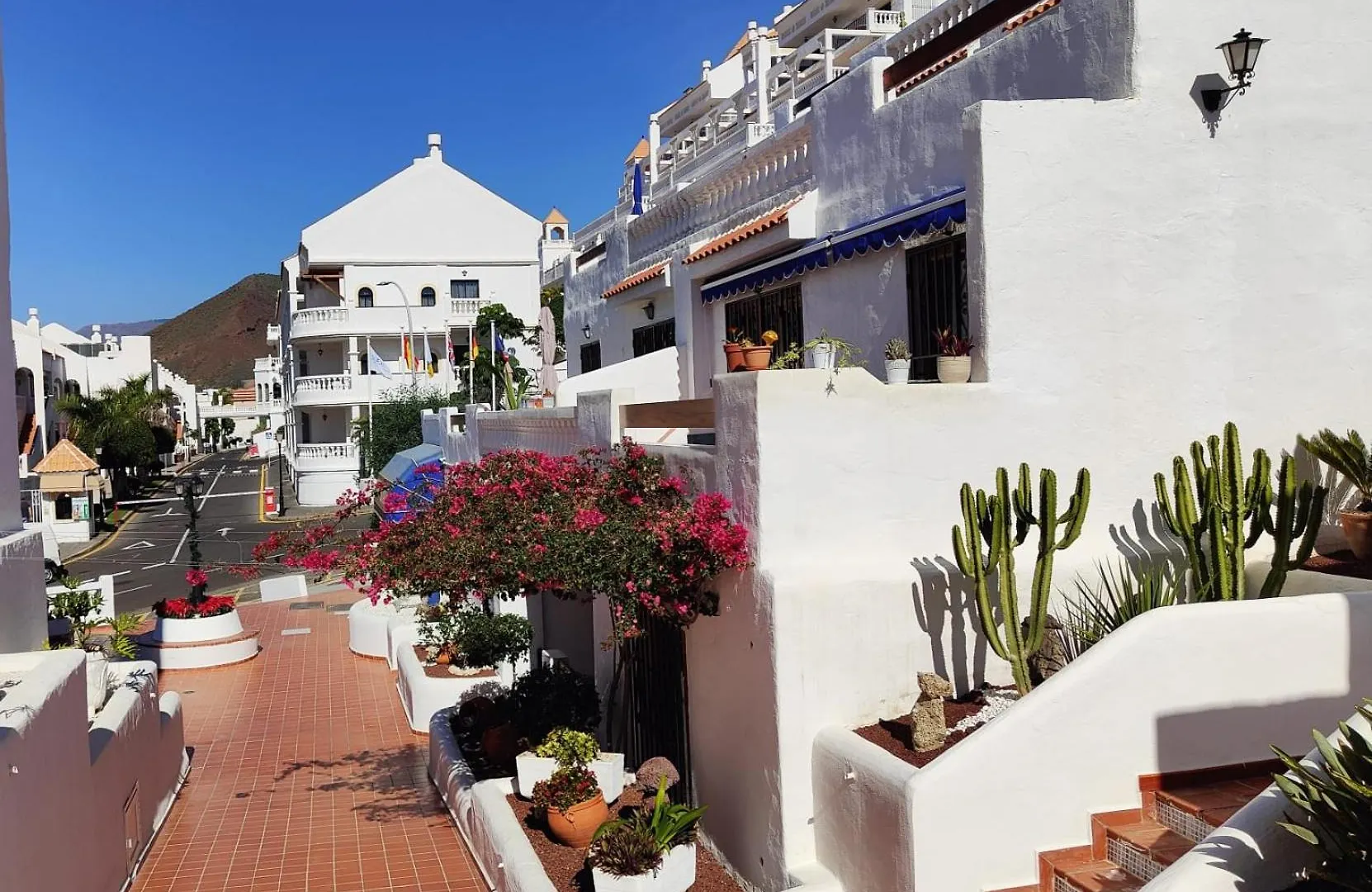Port Royale Apartment Los Cristianos  0*, Los Cristianos (Tenerife) Spain